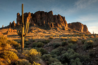 Superstition Mountains and Saguaro Cactus