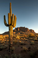 Superstitions Sunset Lone Saguaro