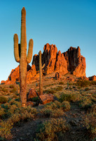 Superstition Mountains Details and Saguaros