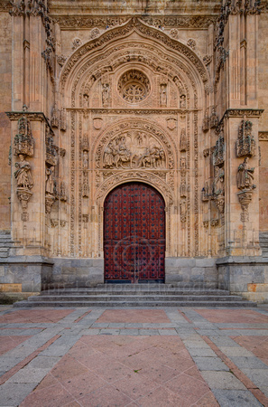 Salamanca Cathedral Palm Doors