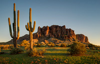 Evening Saguaros and Superstitions
