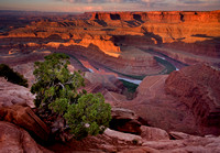 Sunrise from Deadhorse Point