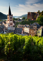 Bacharach and Vinyards Early Morning
