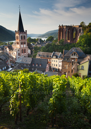 Bacharach and Vinyards Early Morning
