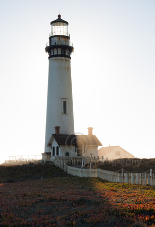 Pigeon Point Lighthouse Afternoon Backlight
